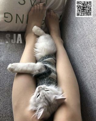 女m给女S吮脚趾训练奴性视频VK_BD在线观看电视