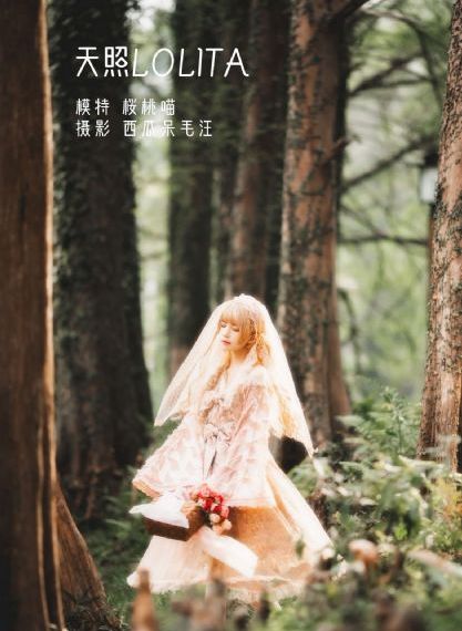 电视剧《雪中悍刀行》的推荐词_BD高清电影在线