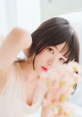 岛国视频播放器_高清免费在线播放
